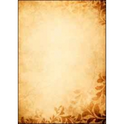 Dyplom Amber 170 g/m2 25 arkuszy