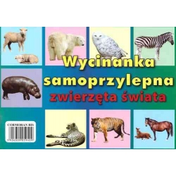 Wycinanka samoprzylepna A4 zwierzęta świata 6 ark. po 12 zdjęć